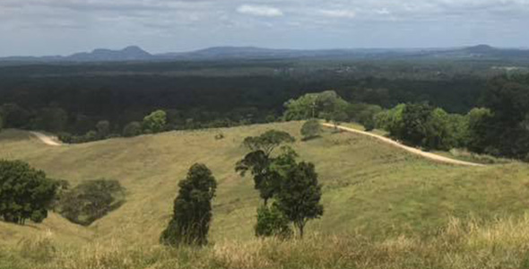 Great_noosa_Trail_Walk_index_590x300jpg.jpg