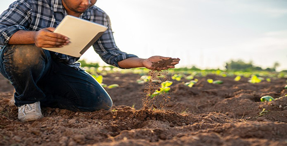 Person examining soil in a field while holding a tablet.