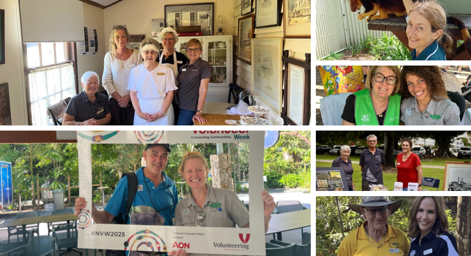 Collage of community volunteers participating in different activities.