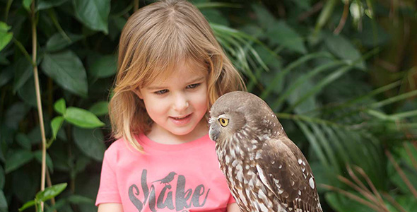 Holiday Programs