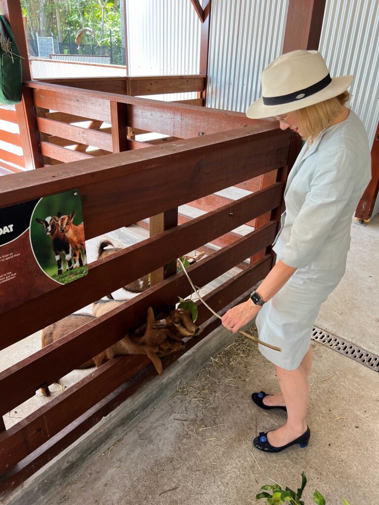 Honourable Dr Jeannette Young AC PSM with farmyard animals
