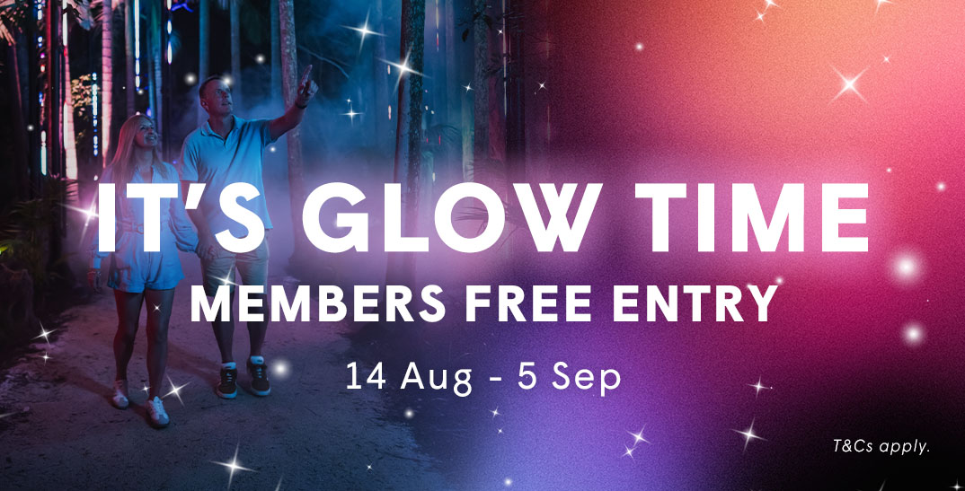 Graphic of a couple walking along an illuminated path through nature with pink, orange, purple and blue hues overlaid and the text It's Glow Time Members Free Entry 14 Aug - 5 Sep T&Cs apply